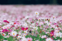 常州各大高校“王牌专业”都帮你找好了